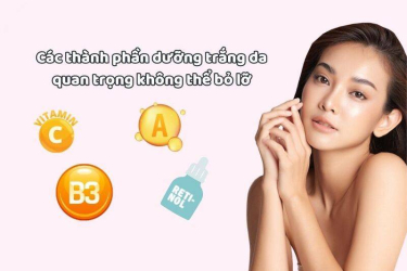 Những thành phần chính không thể thiếu trong kem dưỡng da