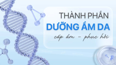 Các thành phần dưỡng ẩm mang lại độ mịn cho da