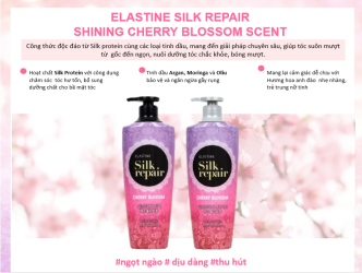 Dầu gội Silk Repair - Giải pháp chăm sóc tóc hoàn hảo nhất
