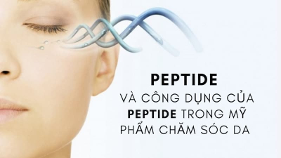 Peptide là gì? Công dụng của Peptide trong mỹ phẩm