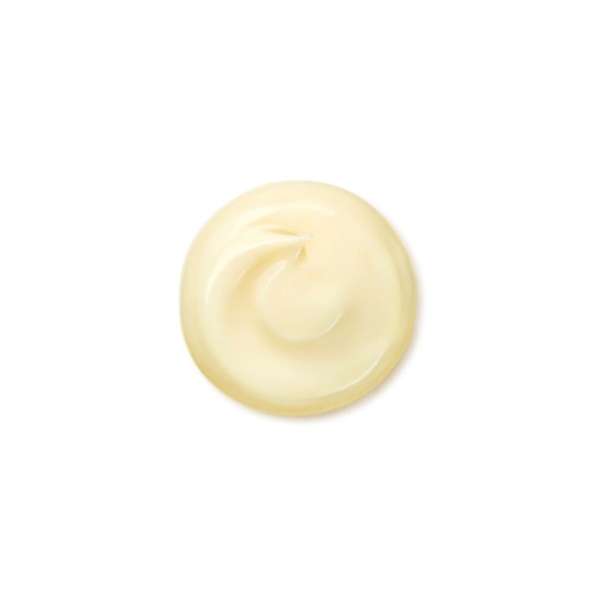 Kem Dưỡng Da Shiseido Benefiance Wrinkle Smoothing Cream Enriched (50ml)
