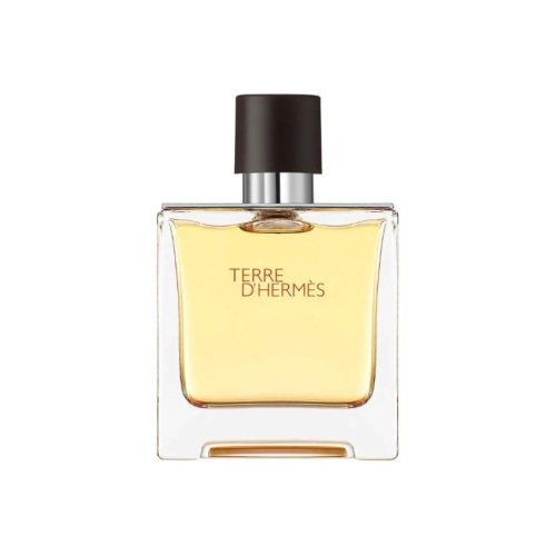 Nước Hoa Nam Hermès Terre D'Hermès Pure Parfum (75ml)