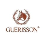 Guérisson